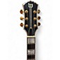 Used Wylde Audio Odin Grail Left Handed Bullseye Electric Guitar