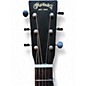 Used Martin DSS-17 Whiskey Sunset Acoustic Guitar