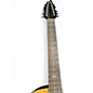 Used Breedlove Atlas Series Studio C250/SME-12 Natural 12 String Acoustic Electric Guitar
