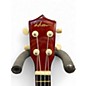 Used All Day Music B-JU110N-BR Mahogany Ukulele