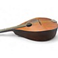 Vintage 1920s S.s, Stewart Student Flat Back Natural Mandolin