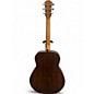 Used Taylor GT URBAN ASH Natural Acoustic Guitar