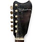 Vintage 1960s Silvertone MODEL 1448 AMP IN CASE Black and White Solid Body Electric Guitar