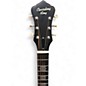 Used Recording King RPH DIRTY THIRTIES Tobacco Burst Acoustic Guitar
