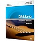 D'Addario EPBB170 PB Soft Acoustic Bass String Set
