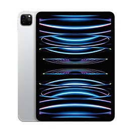 Apple 11-inch iPad Pro M2 Wi-Fi + Cellular 1TB - Silver