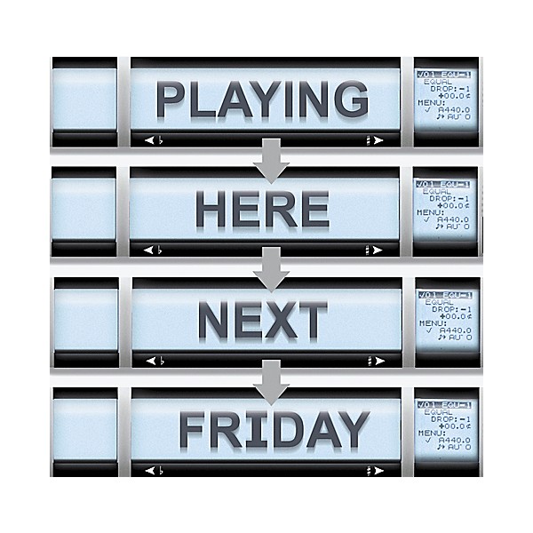 Open Box Peterson VS-R StroboRack Virtual Strobe Tuner Level 2 886830617294