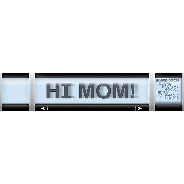 Open Box Peterson VS-R StroboRack Virtual Strobe Tuner Level 2 886830617294