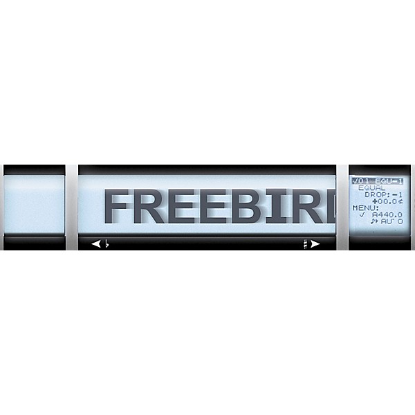 Open Box Peterson VS-R StroboRack Virtual Strobe Tuner Level 2 886830617294