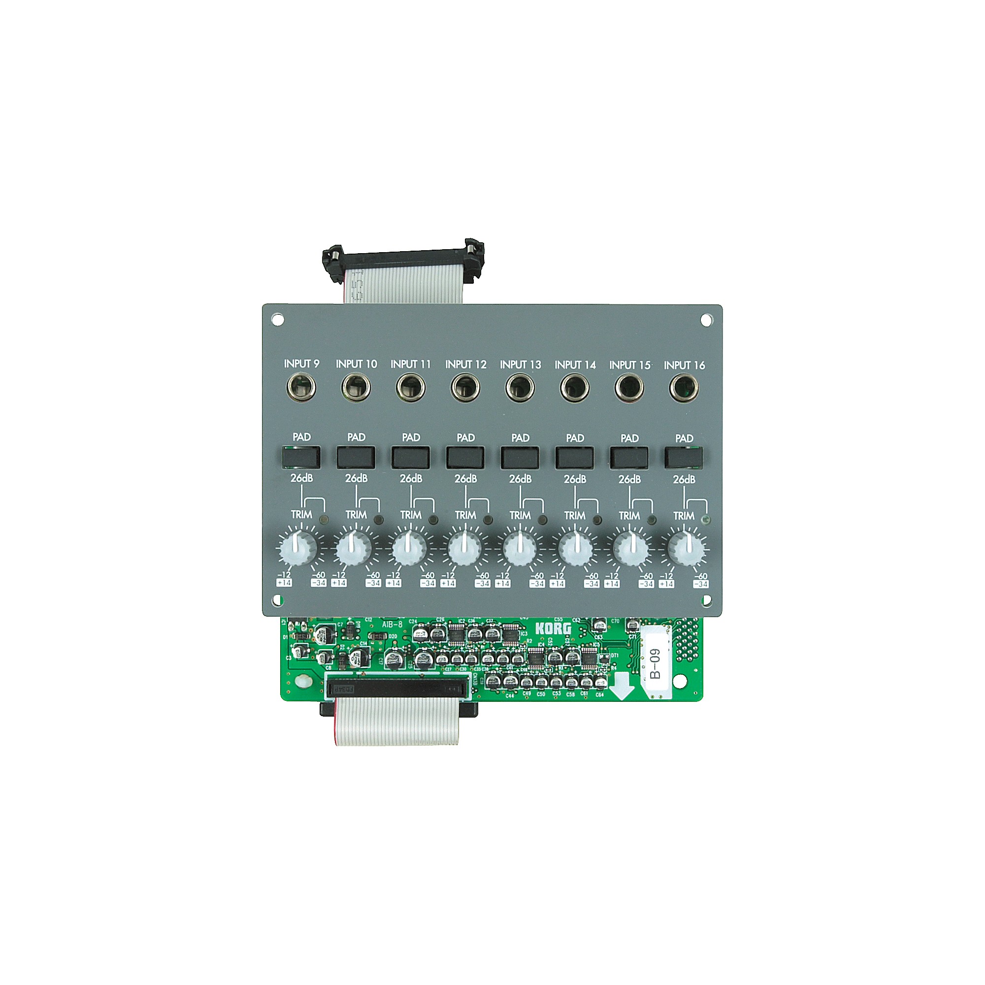 KORG AIB-8 8-Channel Analog Input Board for D16XD and D32XD