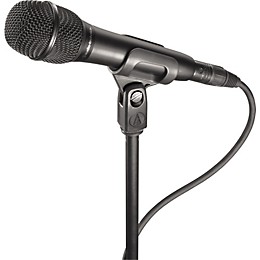 Audio-Technica AT2010 Handheld Condenser Microphone