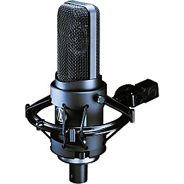 Open Box Audio-Technica AT4060 Tube Microphone Level 2 Regular 190839100030
