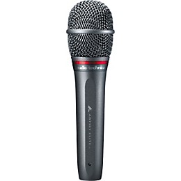 Audio-Technica AE6100 Hypercardioid Dynamic Microphone