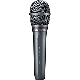 Audio-Technica AE6100 Hypercardioid Dynamic Microphone