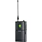 Shure UR14S Bodypack Wireless Instrument System J5