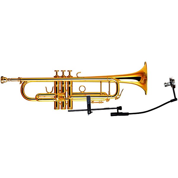 Open Box Applied Microphone Technology AMT P800W Trumpet/Flugelhorn Microphone with cable for AMT, Shure, Sabine & Line 6 ...