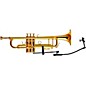 Open Box Applied Microphone Technology AMT P800W Trumpet/Flugelhorn Microphone with cable for AMT, Shure, Sabine & Line 6 ...
