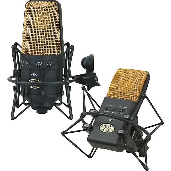 CAD Equitek E100 & E-300 Condenser Microphone Package | Guitar Center