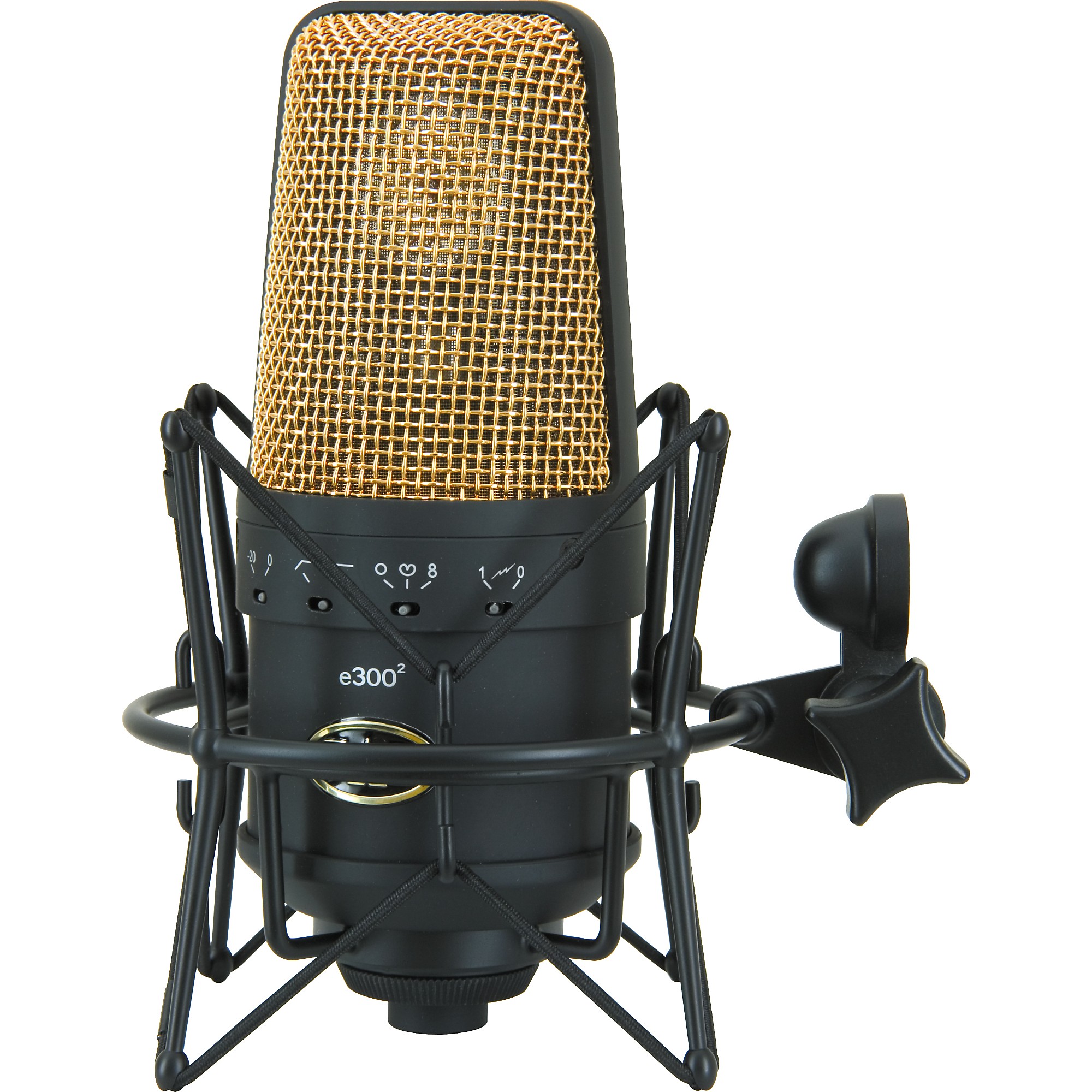 CAD Equitek E100 & E-300 Condenser Microphone Package