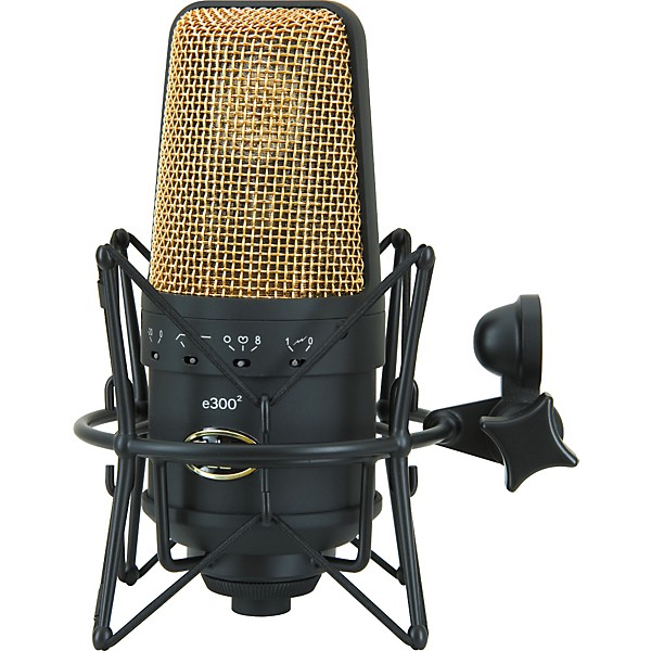 【最終値下げ】【希少品】CAD E300-2 GOLD コンデンサーマイク CAD Equitek E100 & E-300 Condenser Microphone Package | Guitar Center