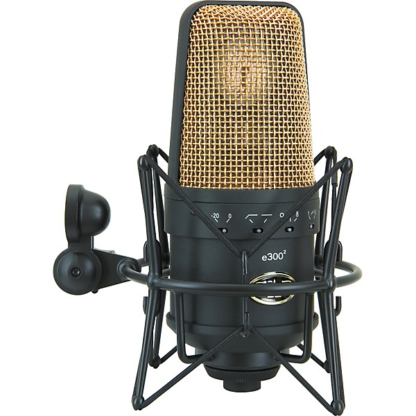 【最終値下げ】【希少品】CAD E300-2 GOLD コンデンサーマイク 最終値下げ】【希少品】CAD E300-2 GOLD コンデンサーマイク 最終