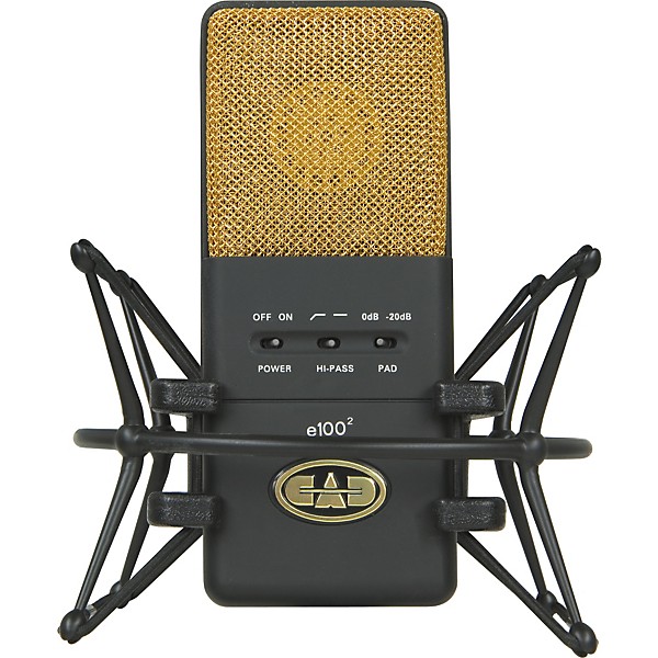 CAD Equitek E100 & E-300 Condenser Microphone Package | Guitar Center