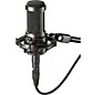 Audio-Technica AT2050 Multi-Pattern Large-Diaphragm Condenser Microphone thumbnail