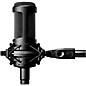 Audio-Technica AT2050 Multi-Pattern Large-Diaphragm Condenser Microphone