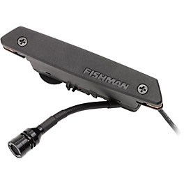 Fishman Rare Earth Mic Blend Soundhole Pickup