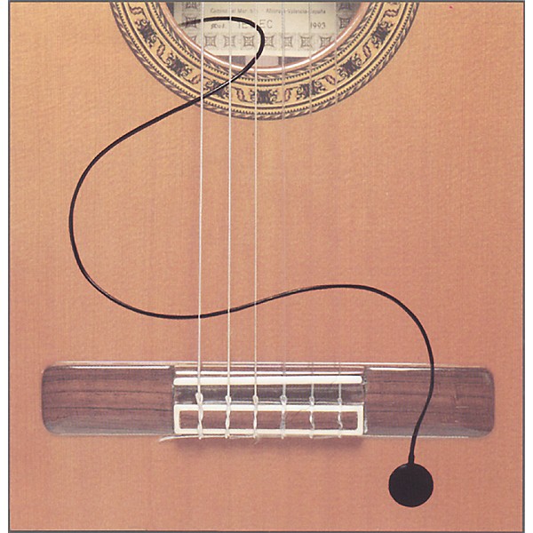 Open Box Fishman SBT-E Acoustic Guitar Pickup Level 1