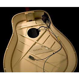 LR Baggs Dual Source System .120