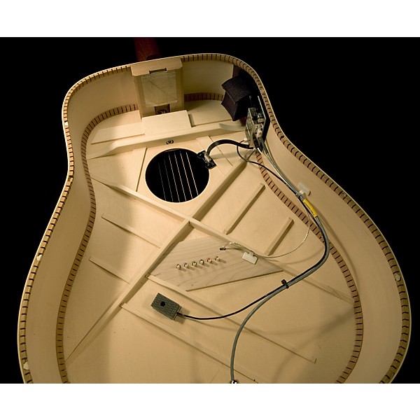 LR Baggs Dual Source System .120