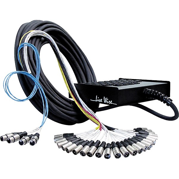 Open Box Livewire 24-Channel/4-Return Stage Snake Level 2 100 Foot 190839078926