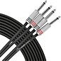 Livewire 1/4" - 1/4" Pro Dual Patch Cable 10 ft. thumbnail