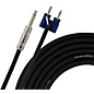 Clearance Livewire 16g 1/4 in.-Banana Speaker Cable 25 ft. thumbnail