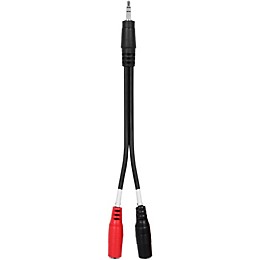 Clearance Livewire 3.5mm TRS-Dual 3.5mm(F) Mono Patch Cable 6 in.