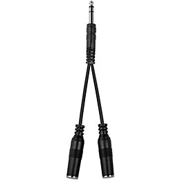 Livewire TRS(M)-TRS(F) Dual Y Cable 6 in.