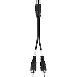Livewire RCA(F)-Dual RCA(M) Y Cable 6 in.