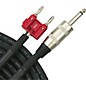 Open Box Livewire Elite 12g 1/4 in. Banana Speaker Cable Level 1  100 ft. thumbnail