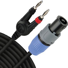 Monster Cable S-100 Speaker Cable Speakon-Banana 10 ft.