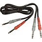 Hosa CSS-201 Dual TRS - TRS Patch Cable 3.3 ft. thumbnail