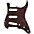 Fender American Standard Strat 11 Hole Pickguard Shell Fender American Standard Strat 11 Hole Pickguard Shell