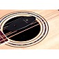 Open Box D'Addario Acoustic Guitar Humidifier Level 1