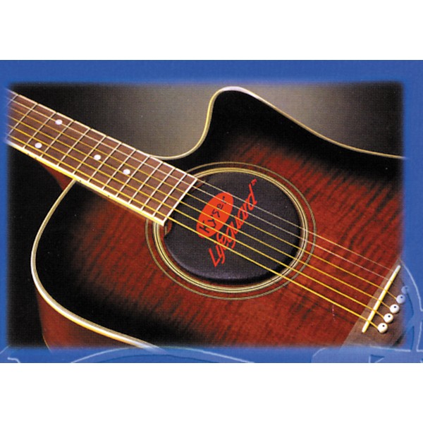 Clearance Kyser Lifeguard 6 or 12 String Acoustic Guitar Humidifier