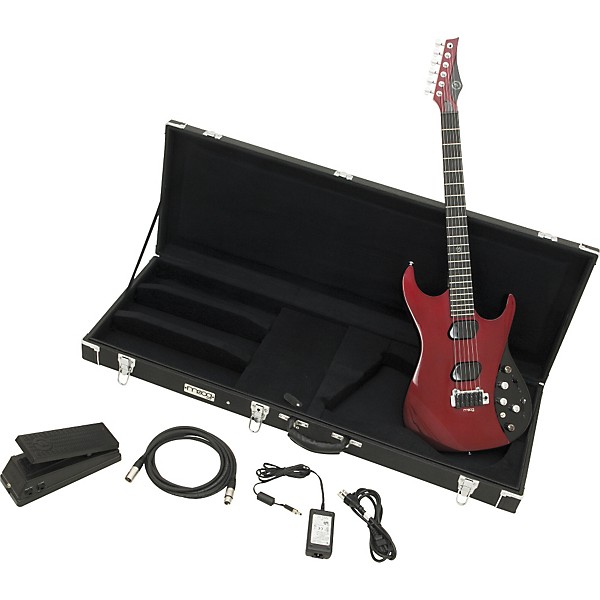 Platinum Moog The Moog Guitar E1 with Tremolo Electric Platinum Moog The Moog Guitar E1 with Tremolo Electric