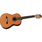 Open Box Manuel Rodriguez Model D Exotic Madagascar Cedar Top Spanish Nylon-String Acoustic Guitar Level 1 thumbnail