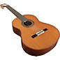Open Box Manuel Rodriguez Model D Exotic Madagascar Cedar Top Spanish Nylon-String Acoustic Guitar Level 1