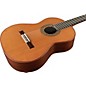 Open Box Manuel Rodriguez Model D Exotic Madagascar Cedar Top Spanish Nylon-String Acoustic Guitar Level 1