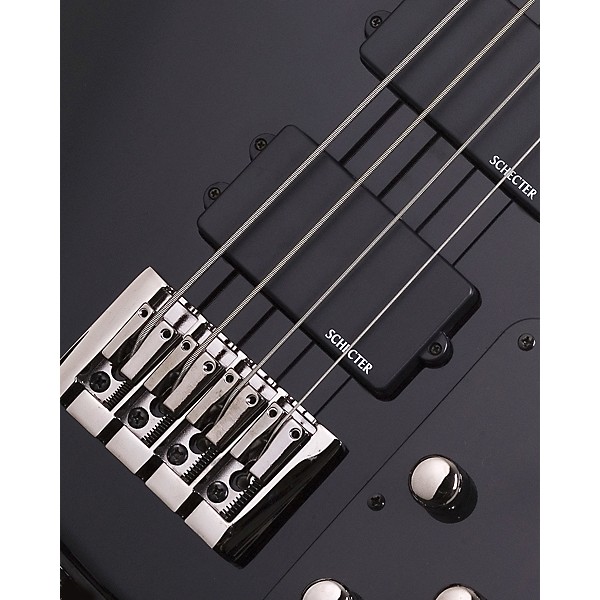 Schecter Guitar Research Raiden Custom-4 Electric Bass Guitar