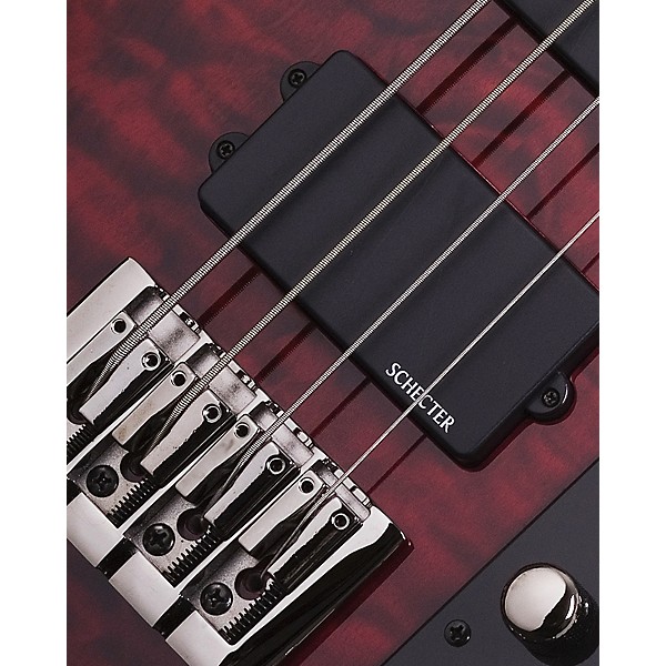 Schecter Guitar Research Raiden Elite-4 Electric Bass Guitar Black